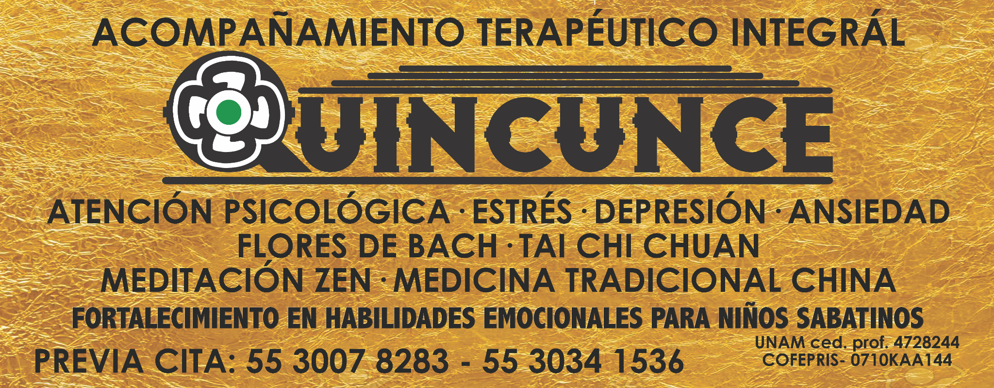 Acompañamiento Terapéutico Integral Quincunce